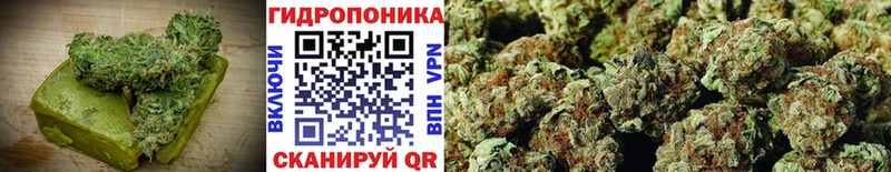 blacksprut зеркало  Когалым  Печенье с ТГК конопля 
