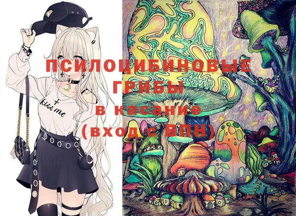 PSILOCYBIN Верея