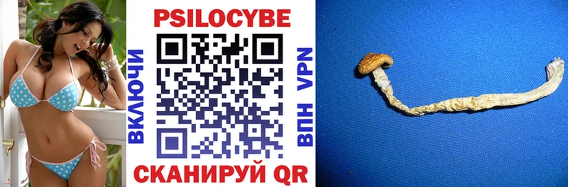 Галлюциногенные грибы Magic Shrooms hydra ТОР Когалым